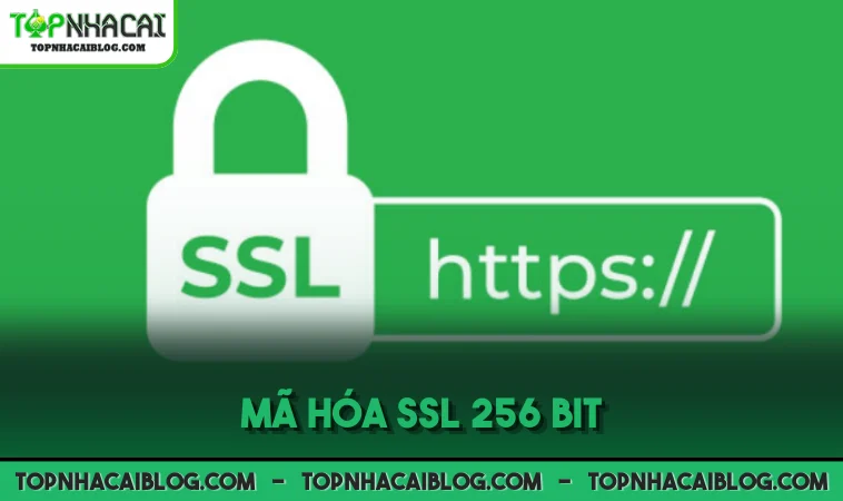 Mã hóa SSL 256 bit